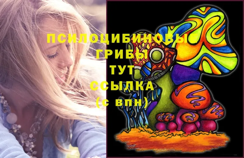 MEGA   Куровское  Псилоцибиновые грибы Magic Shrooms  где продают  